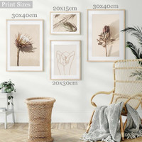 Dried Protea Floret Leaves Abstract Floral 4 Piece Scandinavian Painting Set Pic Canvas Print for Room Wall Ornamentation