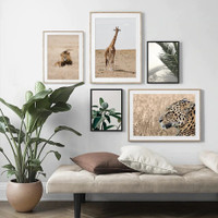 Wild Thicket Lion Landscape Photograph Animal Modern 5 Piece Set Canvas Print for Room Wall Art Embellishment