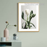 Tulip Flower Abstract Floral Modern Painting Picture Canvas Wall Art Print for Room Illumination