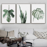 Ficus Carica Foliage Abstract Botanical Modern Painting Pic Canvas Print for Room Wall Drape