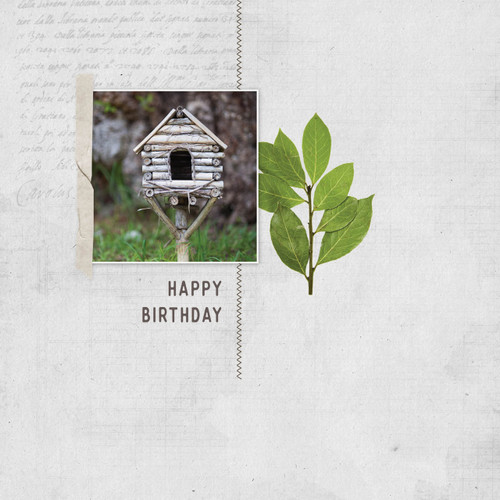 Greeting Card - Birthday - Little House