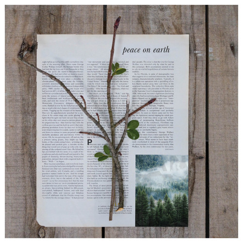 Greeting Card - Christmas -  Branch