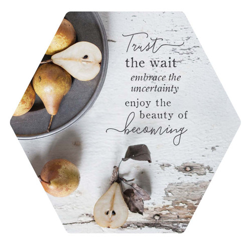 Magnet - Trust The Wait