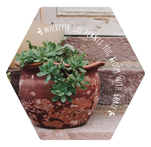 Magnet - Wherever Life Plants You