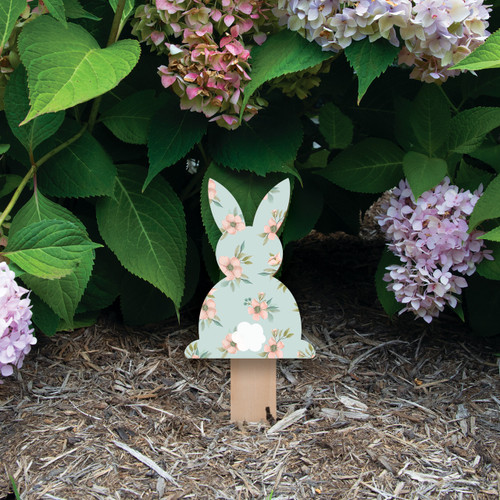 Bunny 