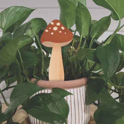 Mushroom 