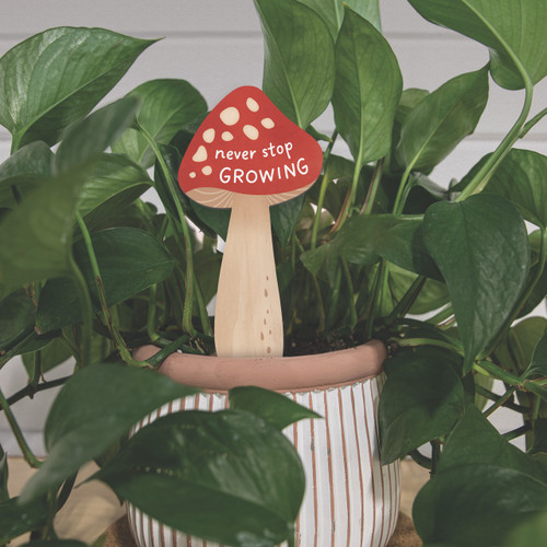 Never Stop Growing (YSHG0026)