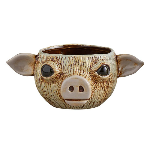 Pig Face Planter