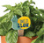 Plant Pal Garden Sign - Take It Slow