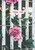 Greeting Card - Thank You Floral