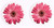 Car Coasters - Pink Daisies