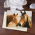 Horses (PTC0009)
