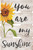 Pallet Sign - You are My Sunshine