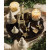 Ivory Glow Fir