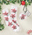 Cozy Socks in Ornament - White + Mistletoe