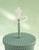 Straw Cap 