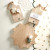 Mini Paulownia Wood Boards - Let It Snow - Set of 2