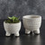 Cement Leaf Round Pot - Small