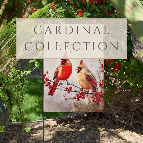 SHOP CARDINAL COLLECTION
