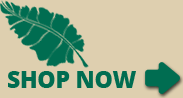 Shop Now at Alamo Peppers