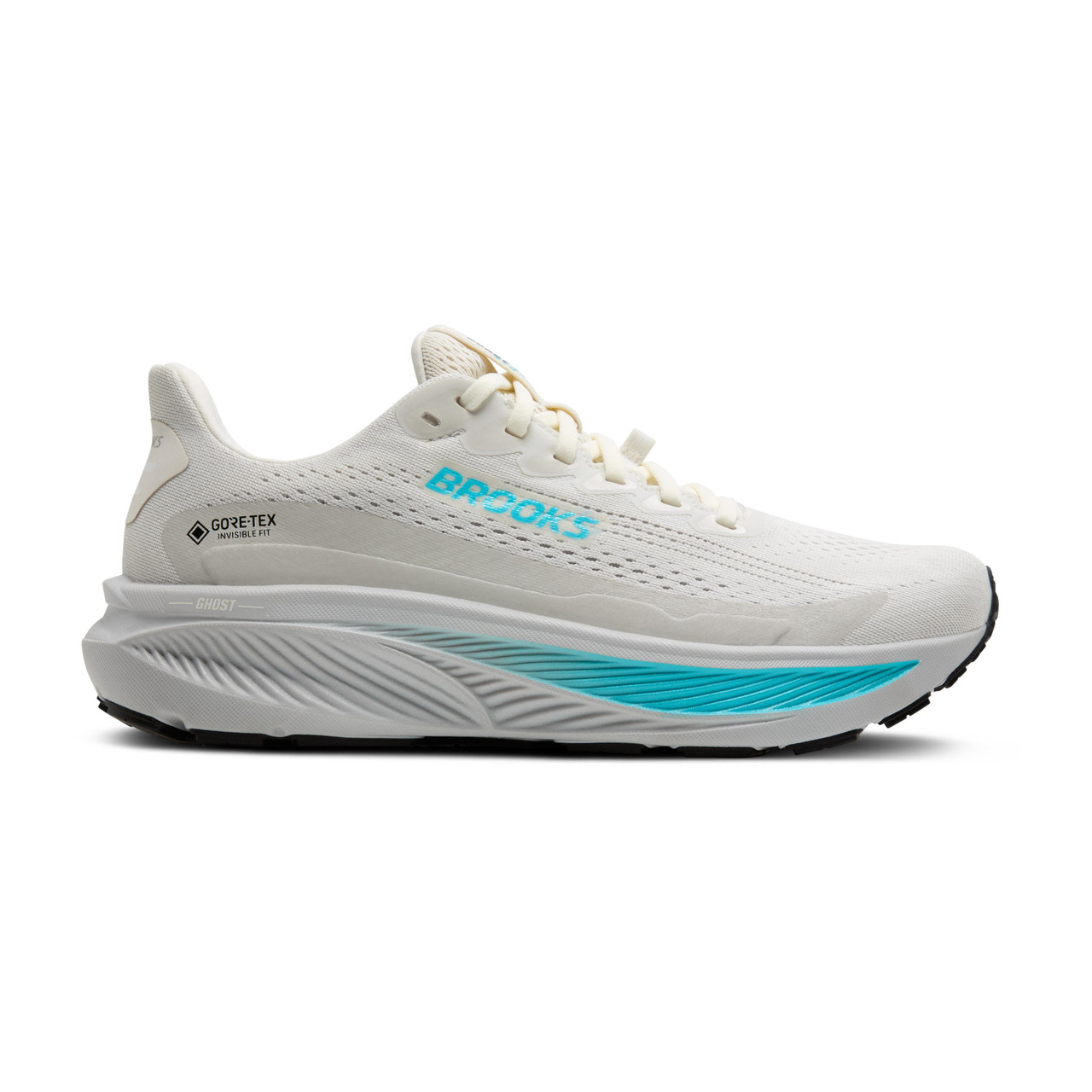 Brooks Ghost 17 GTX Women's Road Running Shoe
