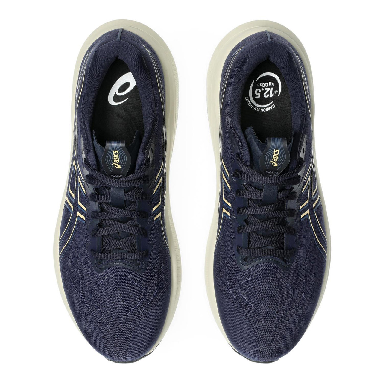 Asics GT-2000 14 Extra Wide Men's Road Running Shoe