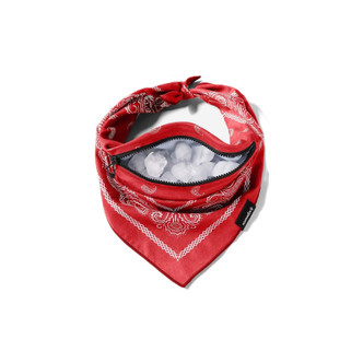 PAISLEY RED