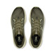 OLIVE | SEEDLING