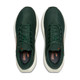 DARK SPRUCE/BOMBAY BROWN/CLEAR