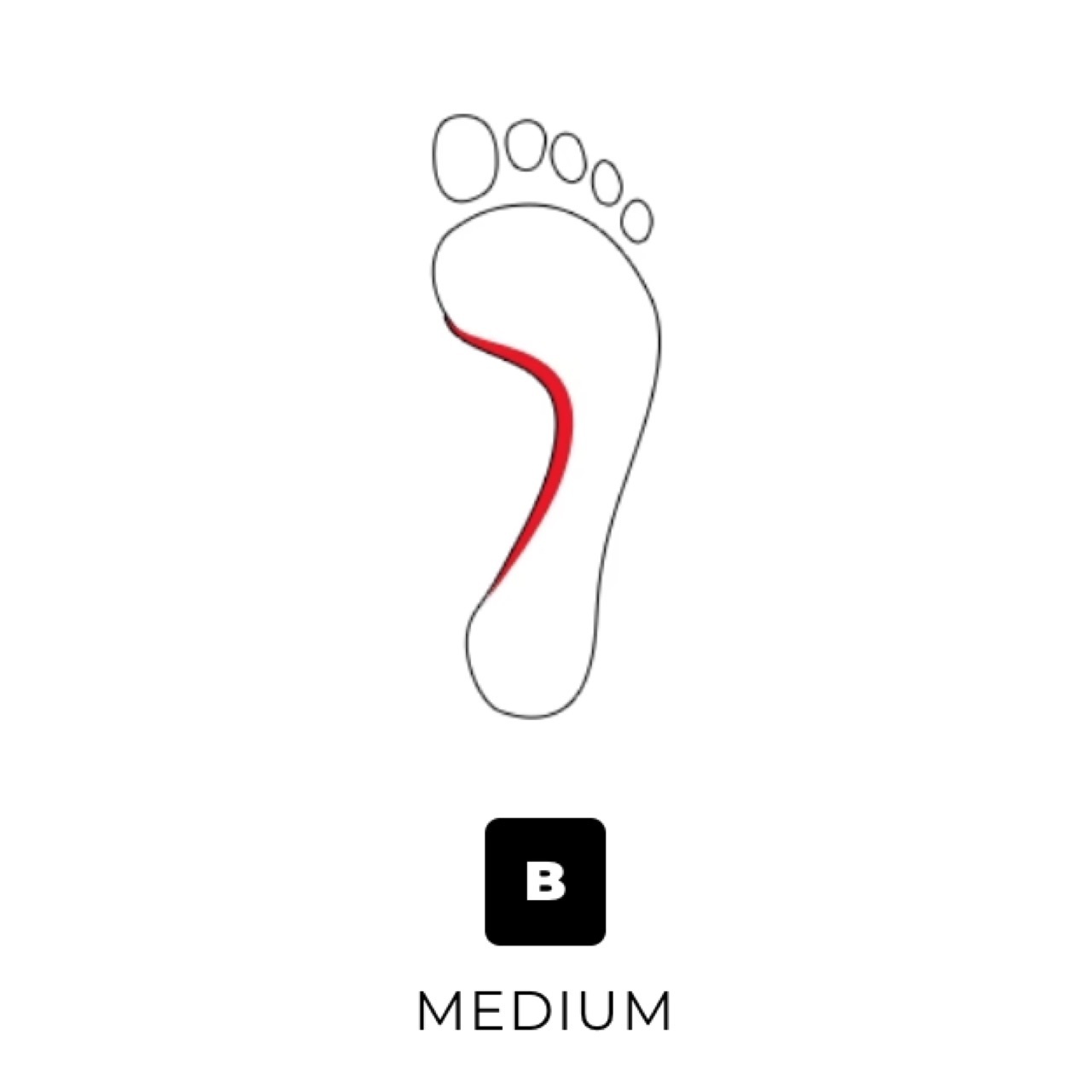 Medium Arch