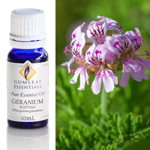 Pure Essential Oil 10ml - Geranium organic