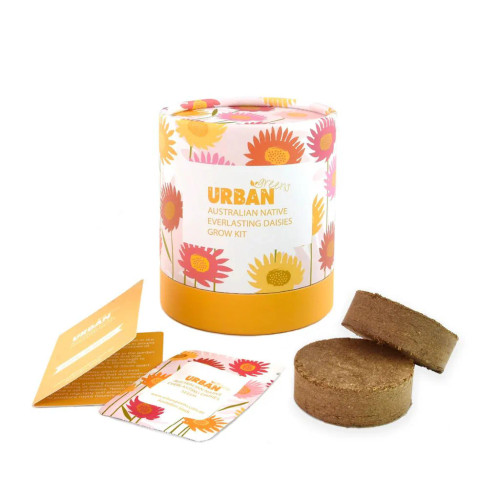 Australian Native Everlasting Daisies Grow Kit