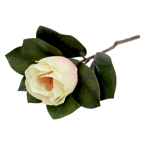 Magnolia Spray - Cream/Pink