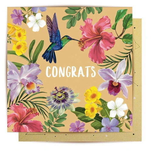 Greeting Card - Humming Bird Congratulations