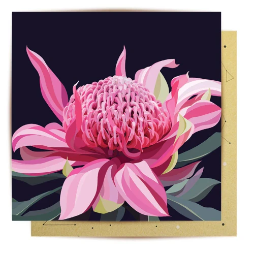 Greeting Card - Waratah Bloom