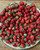 Pulp It - Strikingly Strawberry Jam