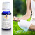 Essential Oil 10ml - Meditation
