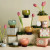 Tulip Printed Tin Candle - Cactus Flower