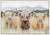 Moo Crew Wall Art