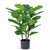 Faux Plant - Fiddle Leaf 70cm