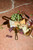 The Jett Cheese Knife Set