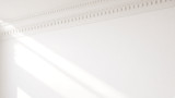 Spectis Moulding Product Warranty