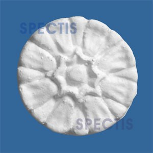 CR2 1 5/16" Round Pedal Shape Decorative Rosette