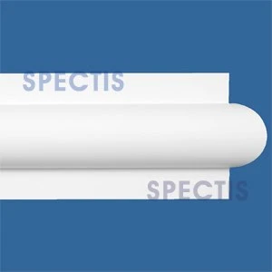 MD1549 Spectis Molding Plant On Trim 3"P x 8"H x 144"L