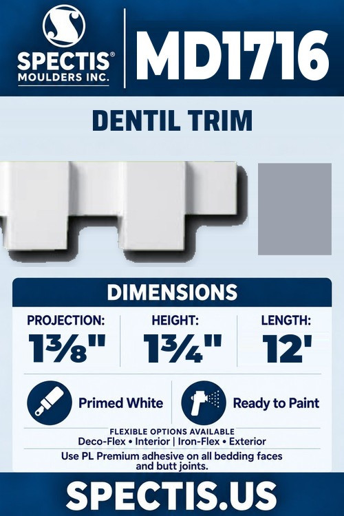 MD1716 dentil trim section and side profile