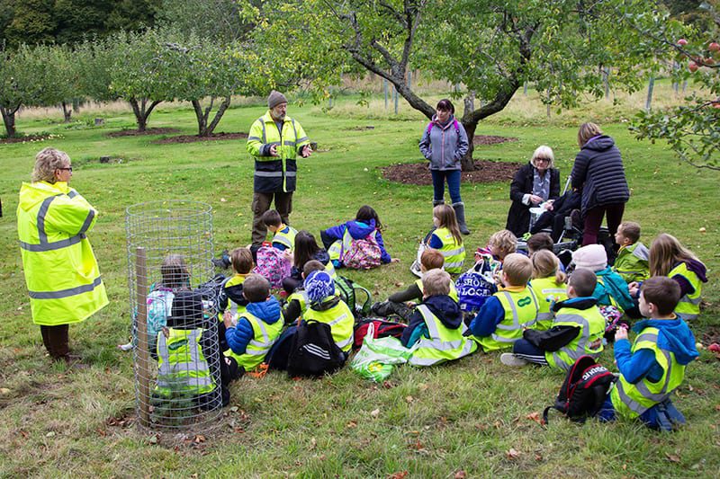 Aberlour Primary Pick Apples Walker's Shortbread