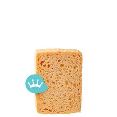 Endstra Spontex Schildersspons