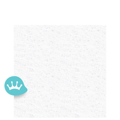 Meesterhand Renovatievlies