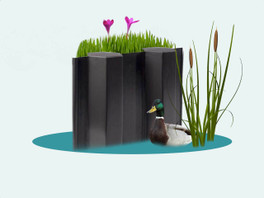 Beschoeiing of damwand