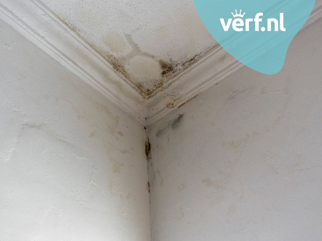 Schimmelwerende verf